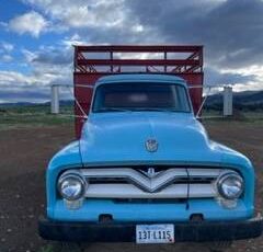 Ford-1955-blue-4