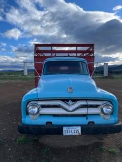 Ford-1955-blue-4