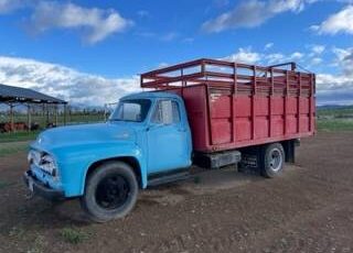 Ford-1955-blue-5