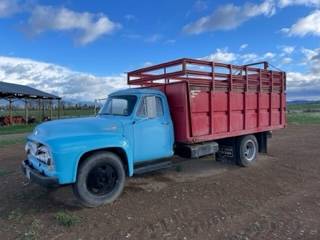 Ford-1955-blue-5