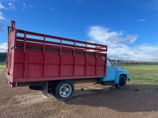 Ford-1955-blue-7