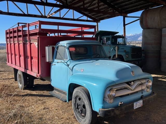 Ford-1955-blue