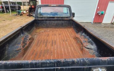 Ford-2×4-truck-1973-black-10