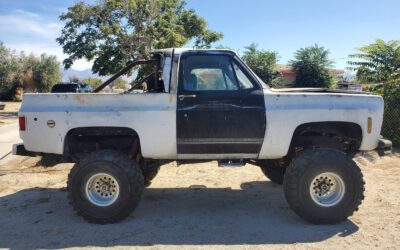 Ford Bronco 1976 SUV
