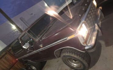Ford-Bronco-1979-Brown