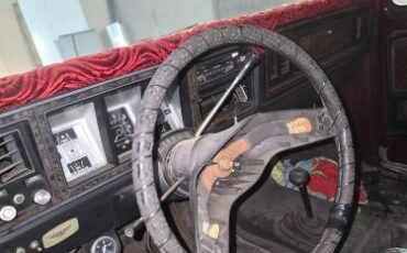 Ford-Bronco-1979-Brown-4