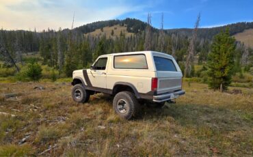 Ford-Bronco-1984-SUV-2