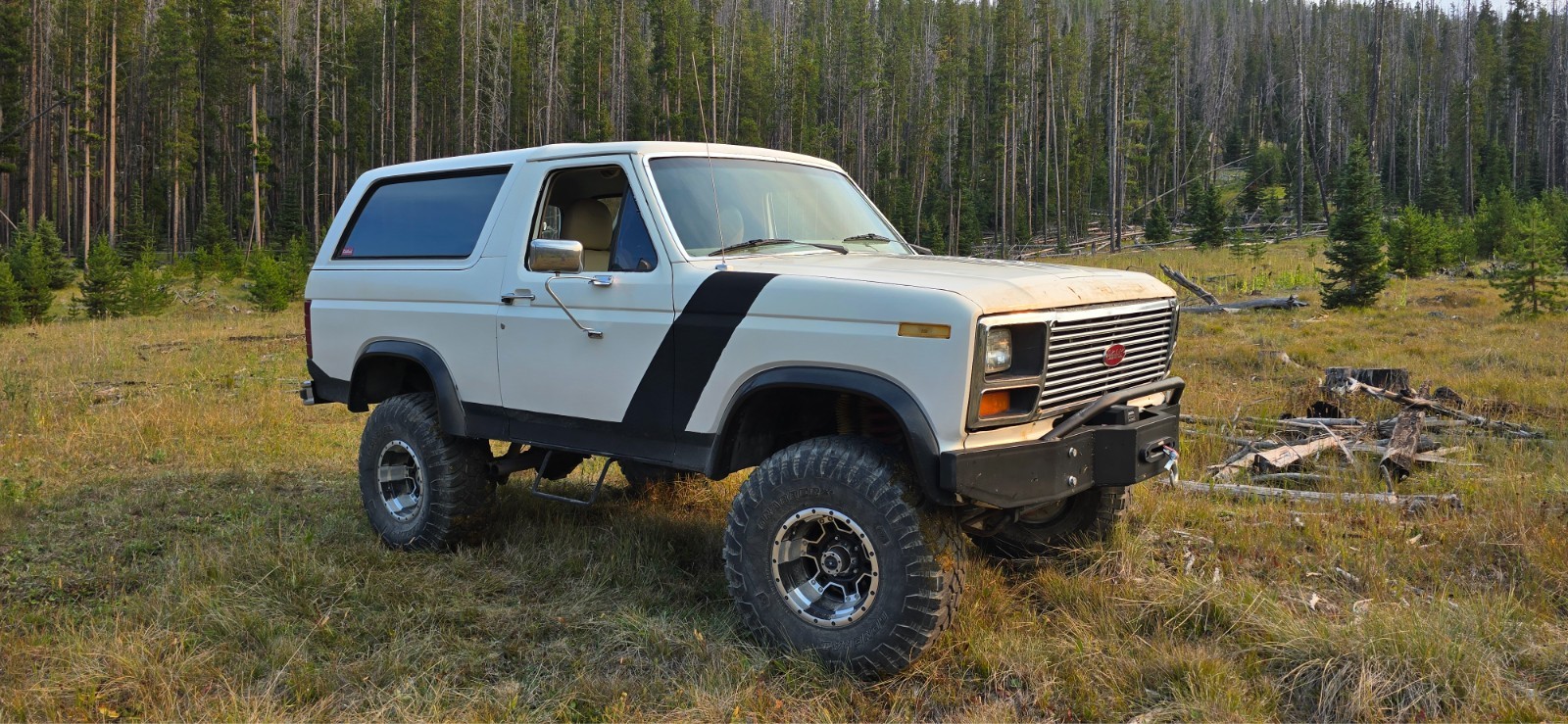 Ford Bronco 1984 SUV