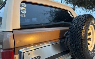 Ford-Bronco-1986-Brown-Brown-1