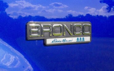 Ford-Bronco-1993-Blue-Tan-13
