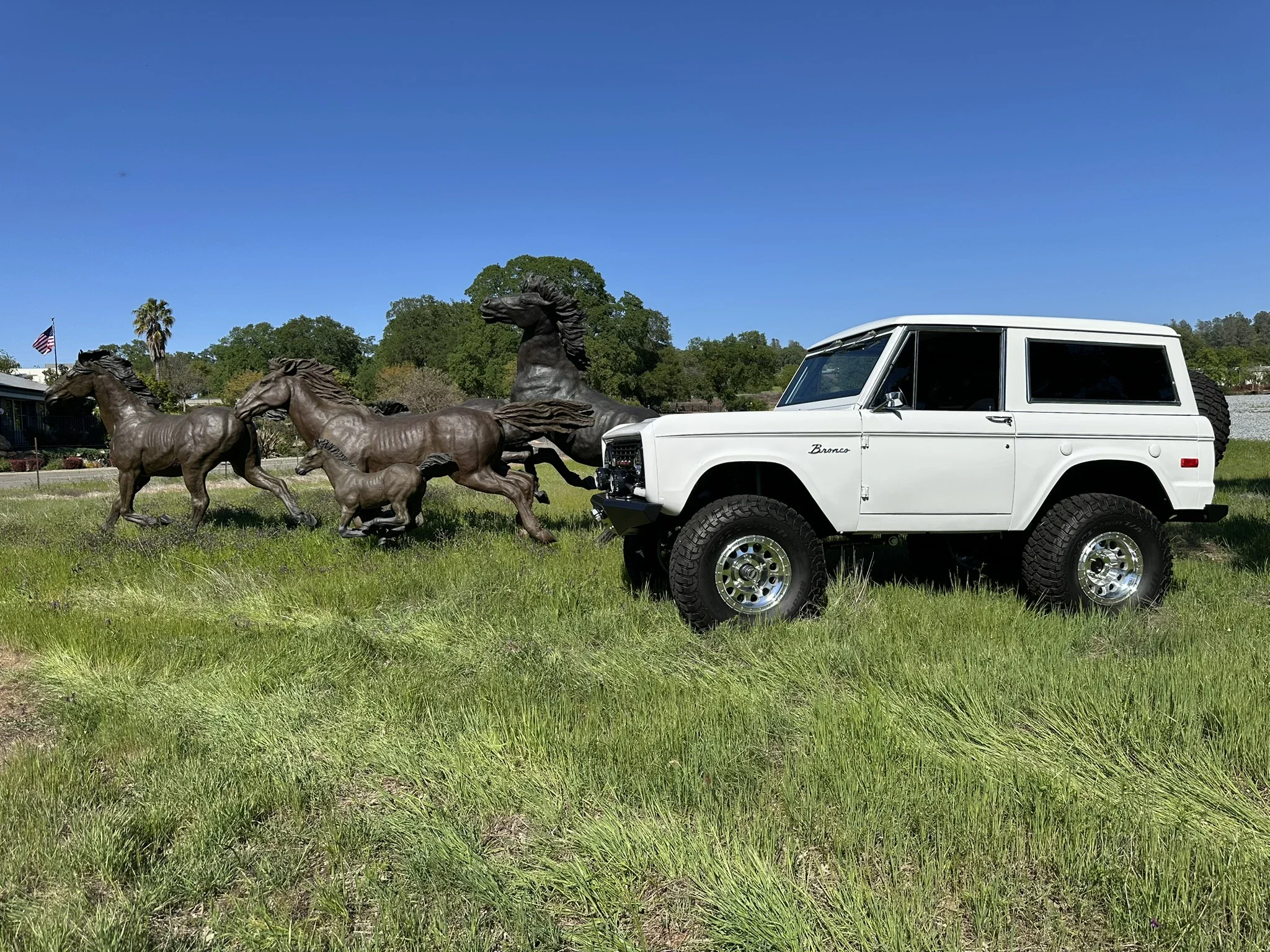 Ford-Bronco-2-door-1971-White-Charcoal-7