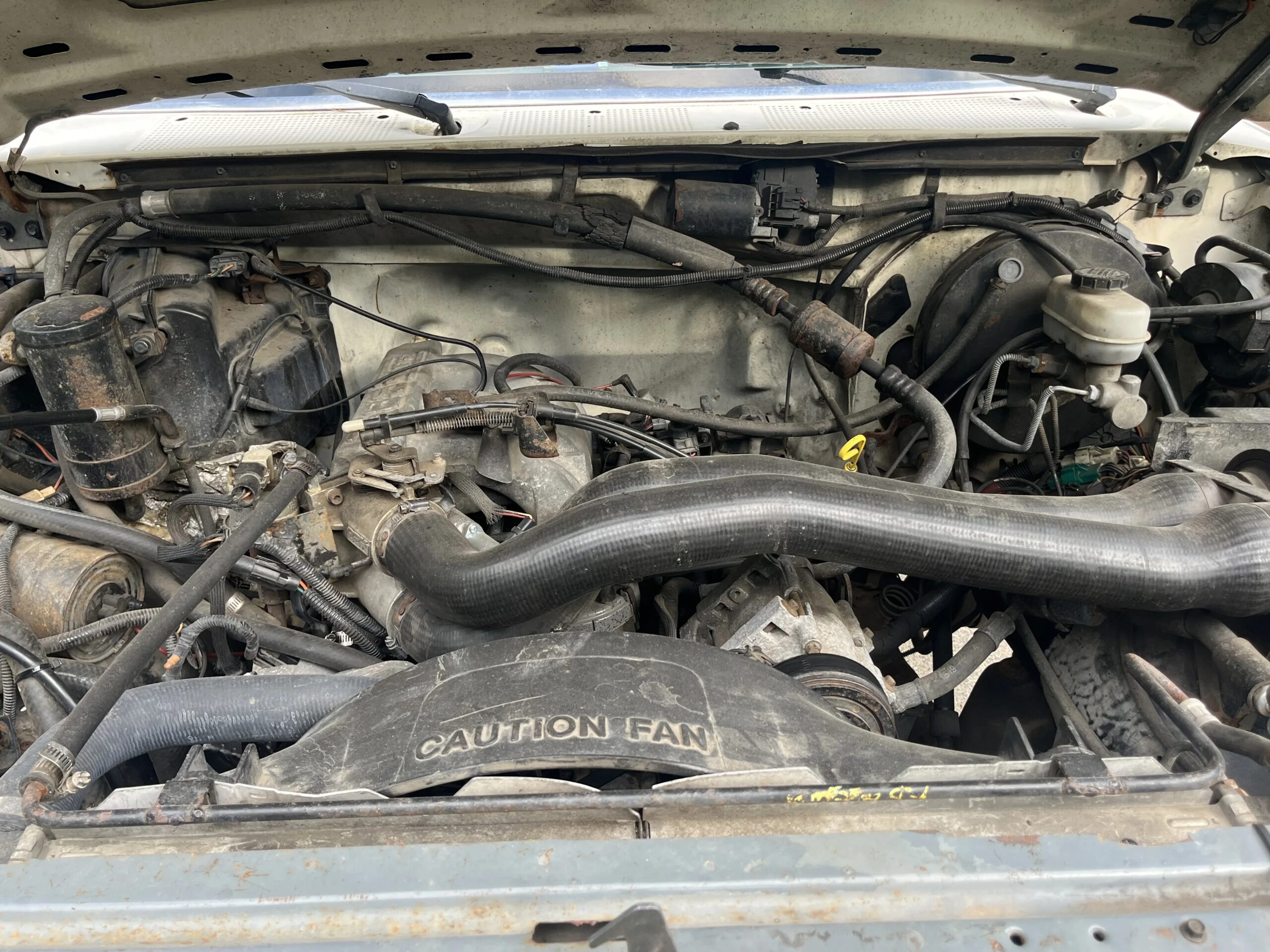 Ford-Bronco-2-door-1990-White-16