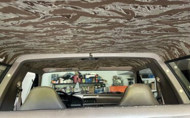 Ford-Bronco-eddie-bauer-1995-Black-Tan-17