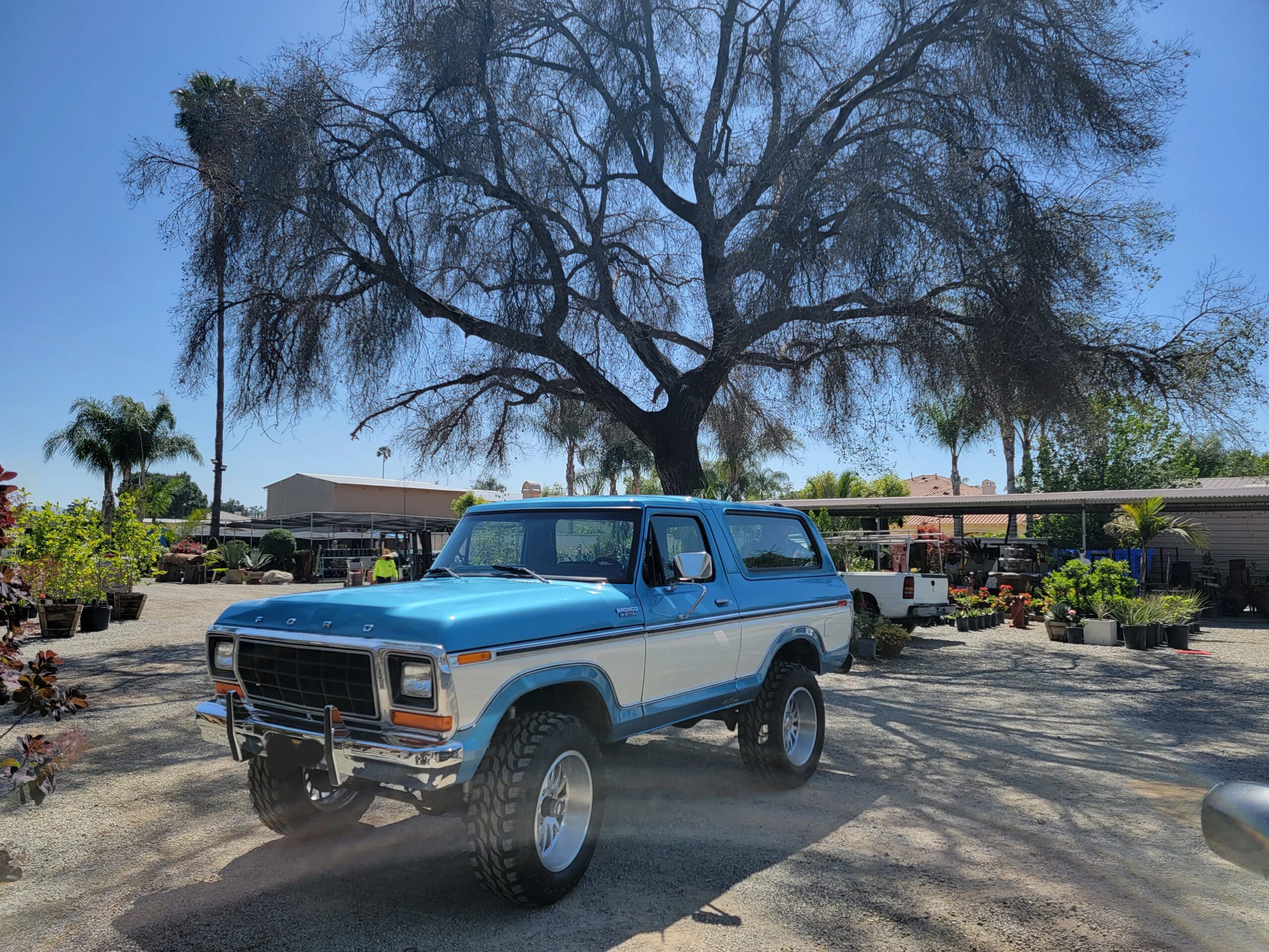 Ford-Bronco-xlt-1979-Blue-10