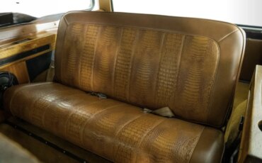 Ford-Bronco-xlt-1979-Brown-Brown-13