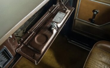 Ford-Bronco-xlt-1979-Brown-Brown-33