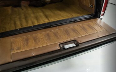 Ford-Bronco-xlt-1979-Brown-Brown-41