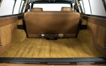 Ford-Bronco-xlt-1979-Brown-Brown-42