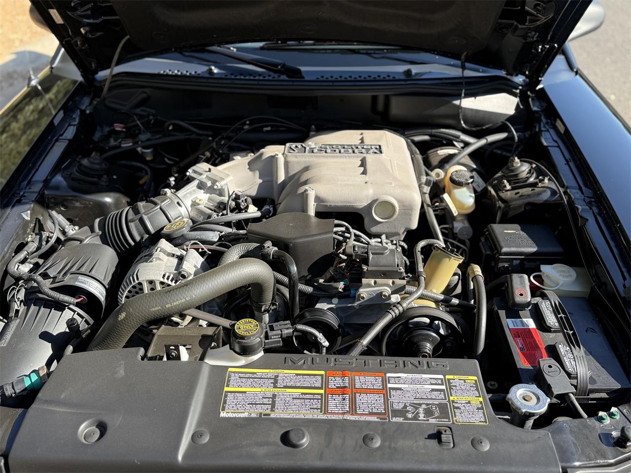 Ford-Cobra-1995-Black-Tan-16