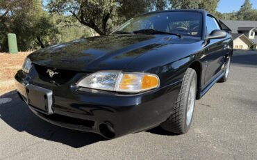 Ford-Cobra-1995-Black-Tan