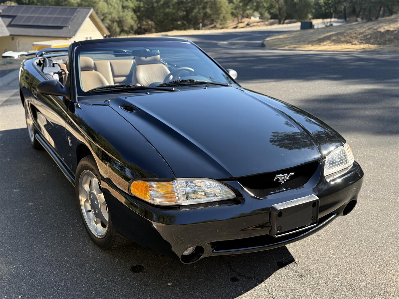 Ford-Cobra-1995-Black-Tan-4