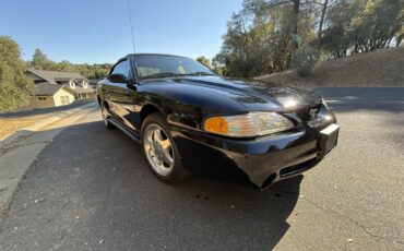 Ford-Cobra-1995-Black-Tan-5