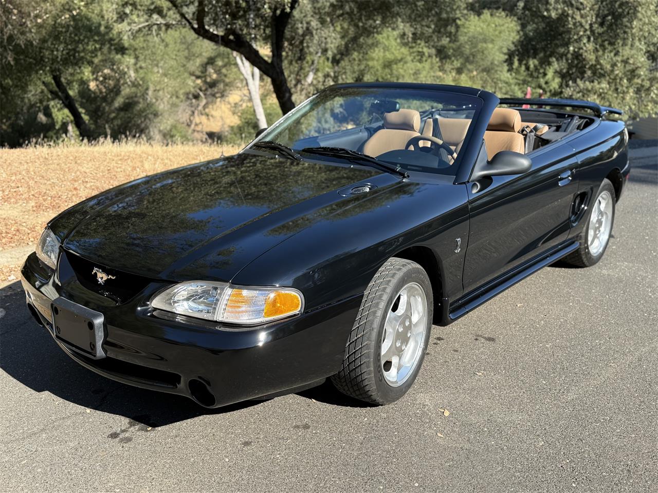 Ford-Cobra-1995-Black-Tan-7