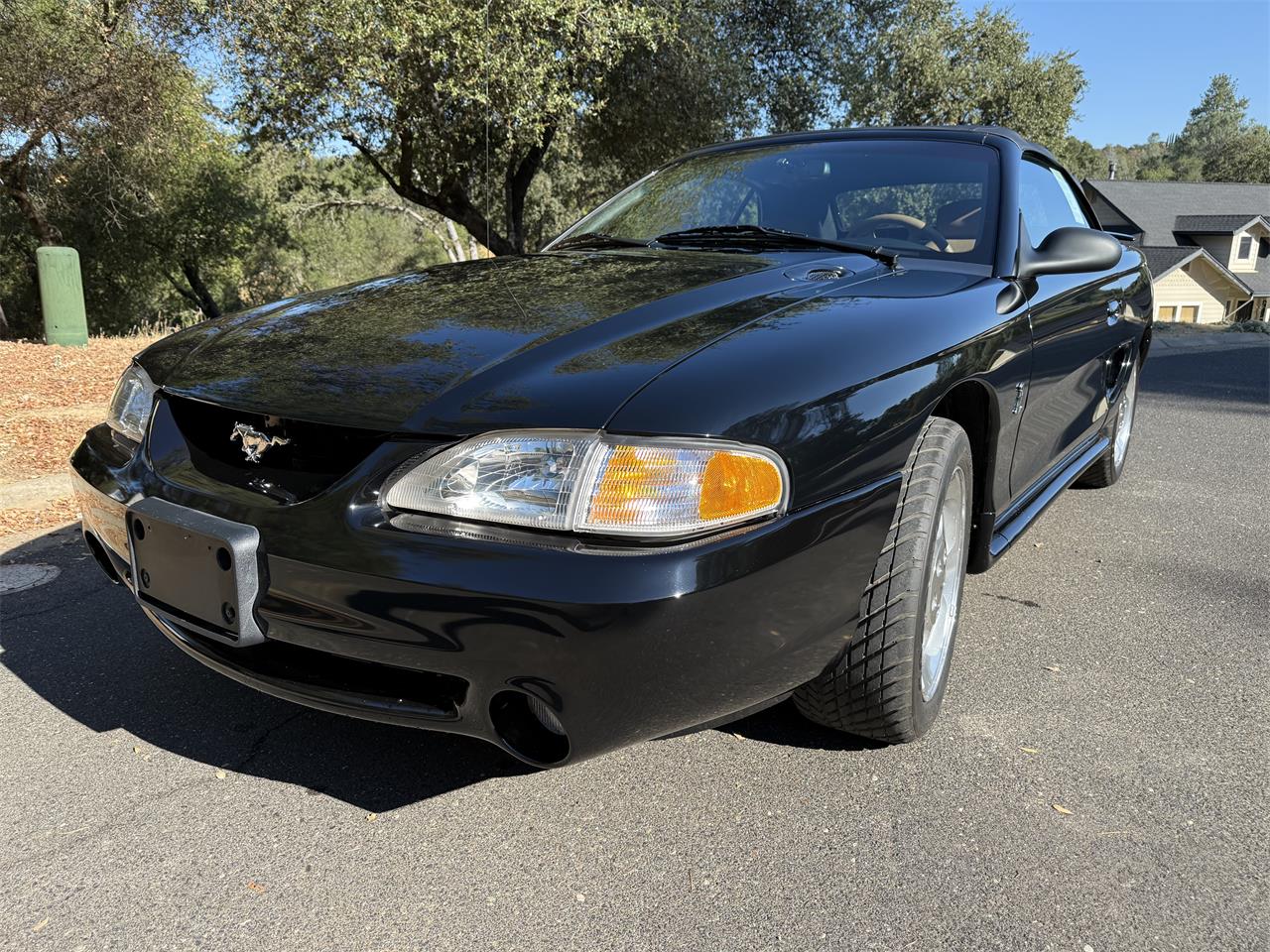 Ford-Cobra-1995-Black-Tan