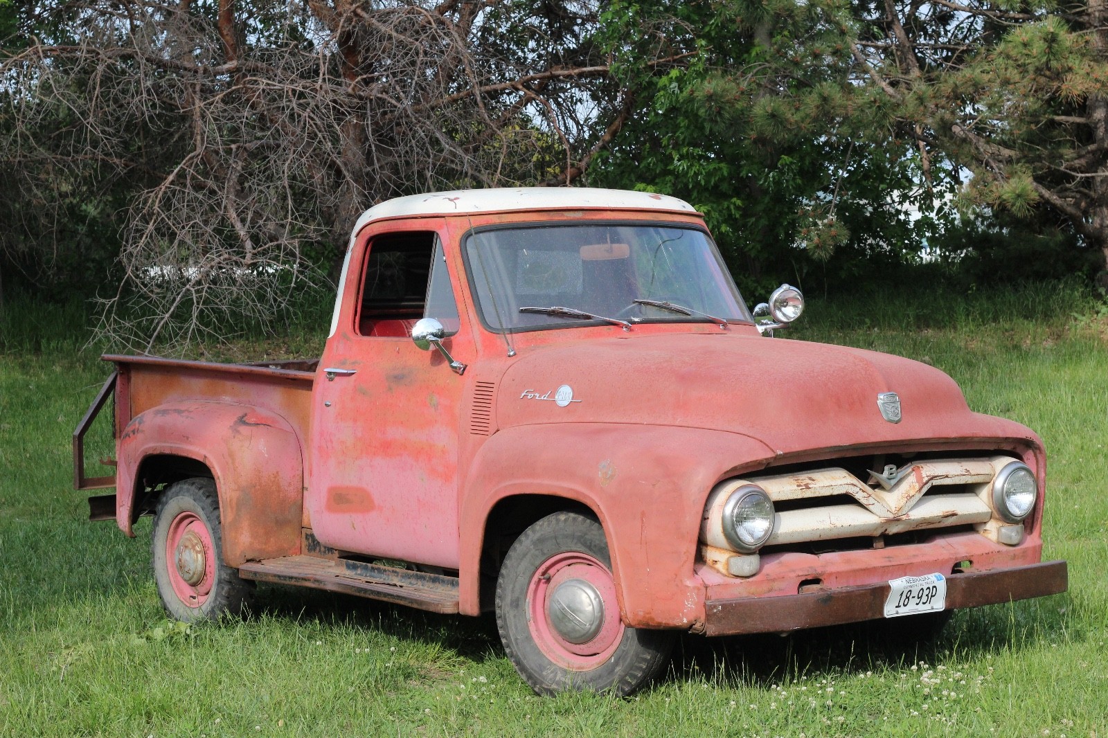 Ford-F-100-1955-Standard-Cab-Pickup