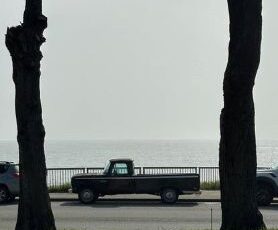 Ford-F-100-1966-Black-4