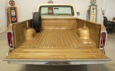 Ford-F-100-1979-Other-12
