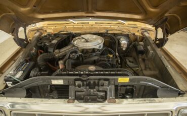 Ford-F-100-1979-Other-13