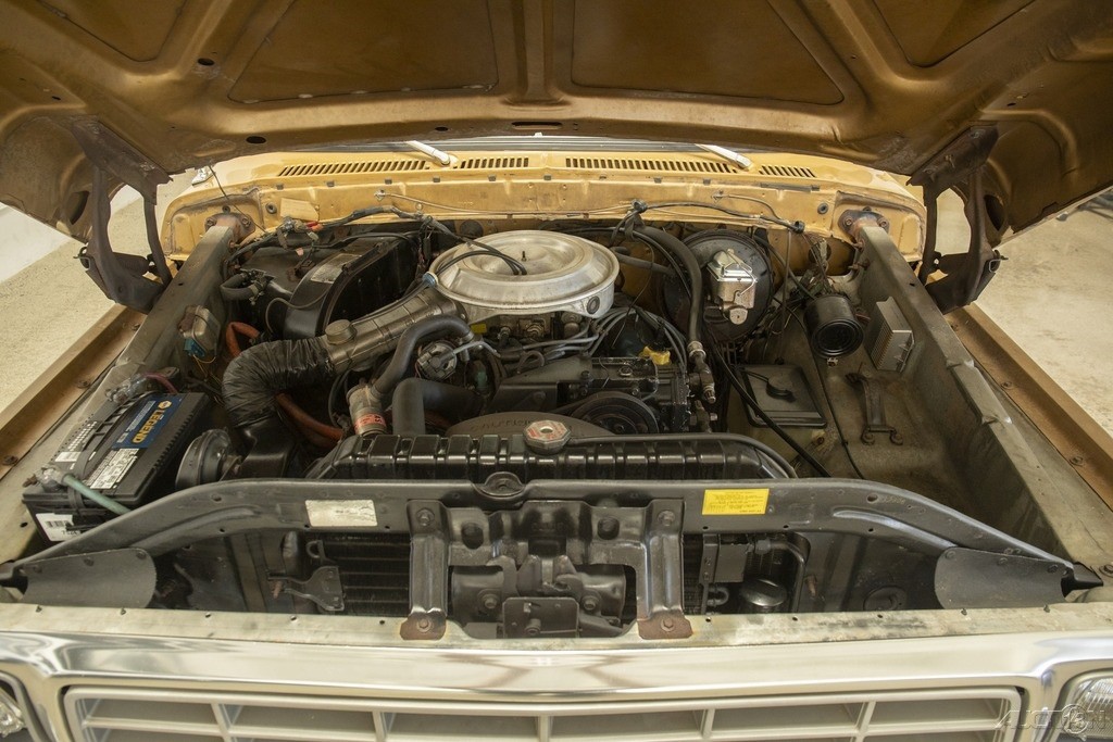 Ford-F-100-1979-Other-13