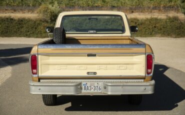 Ford-F-100-1979-Other-3
