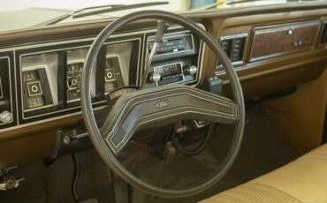 Ford-F-100-1979-Other-8
