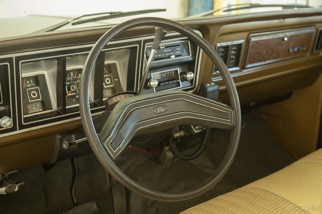 Ford-F-100-1979-Other-8