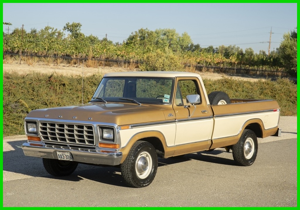 Ford-F-100-1979-Other