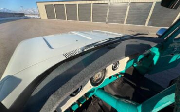 Ford-F-150-1965-Turquoise-Turquoise-6
