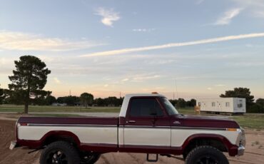 Ford-F-150-1977-Standard-Cab-Pickup-12