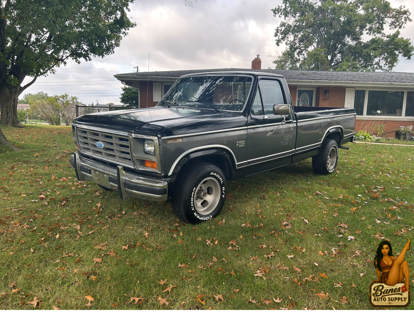 Ford-F-150-1984-Standard-Cab-Pickup-2