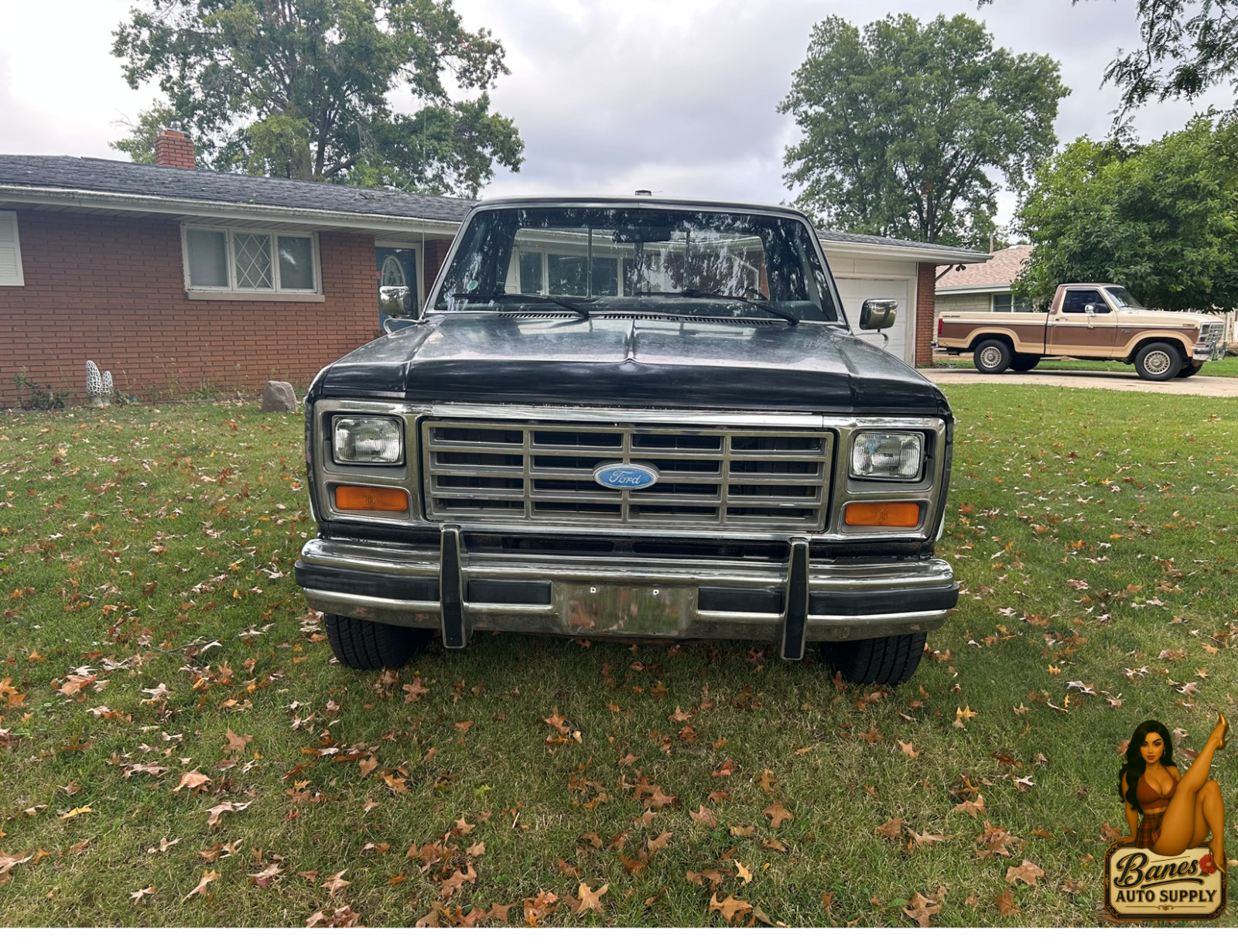 Ford-F-150-1984-Standard-Cab-Pickup-3