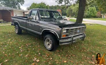 Ford-F-150-1984-Standard-Cab-Pickup-4
