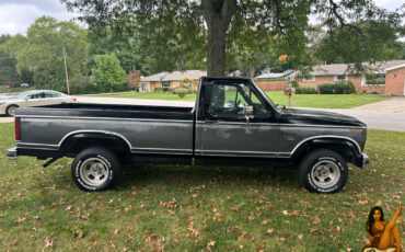 Ford-F-150-1984-Standard-Cab-Pickup-5