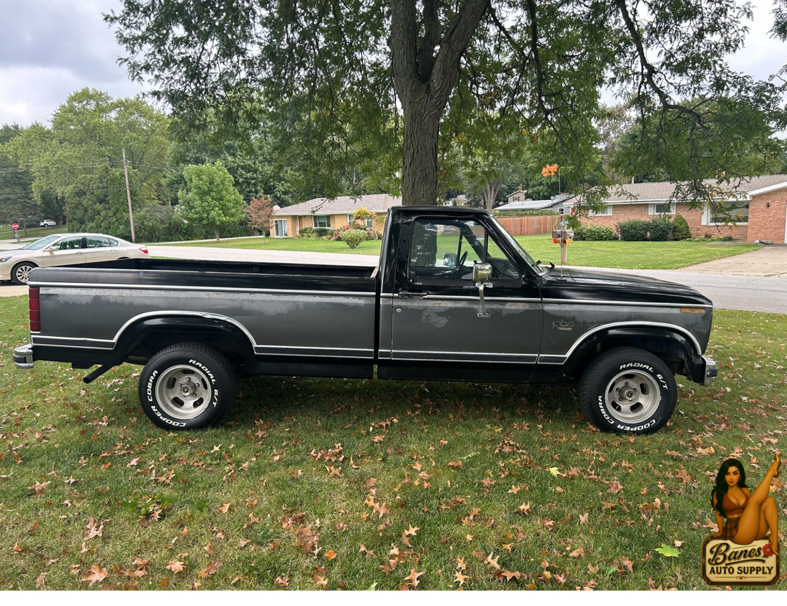 Ford-F-150-1984-Standard-Cab-Pickup-5