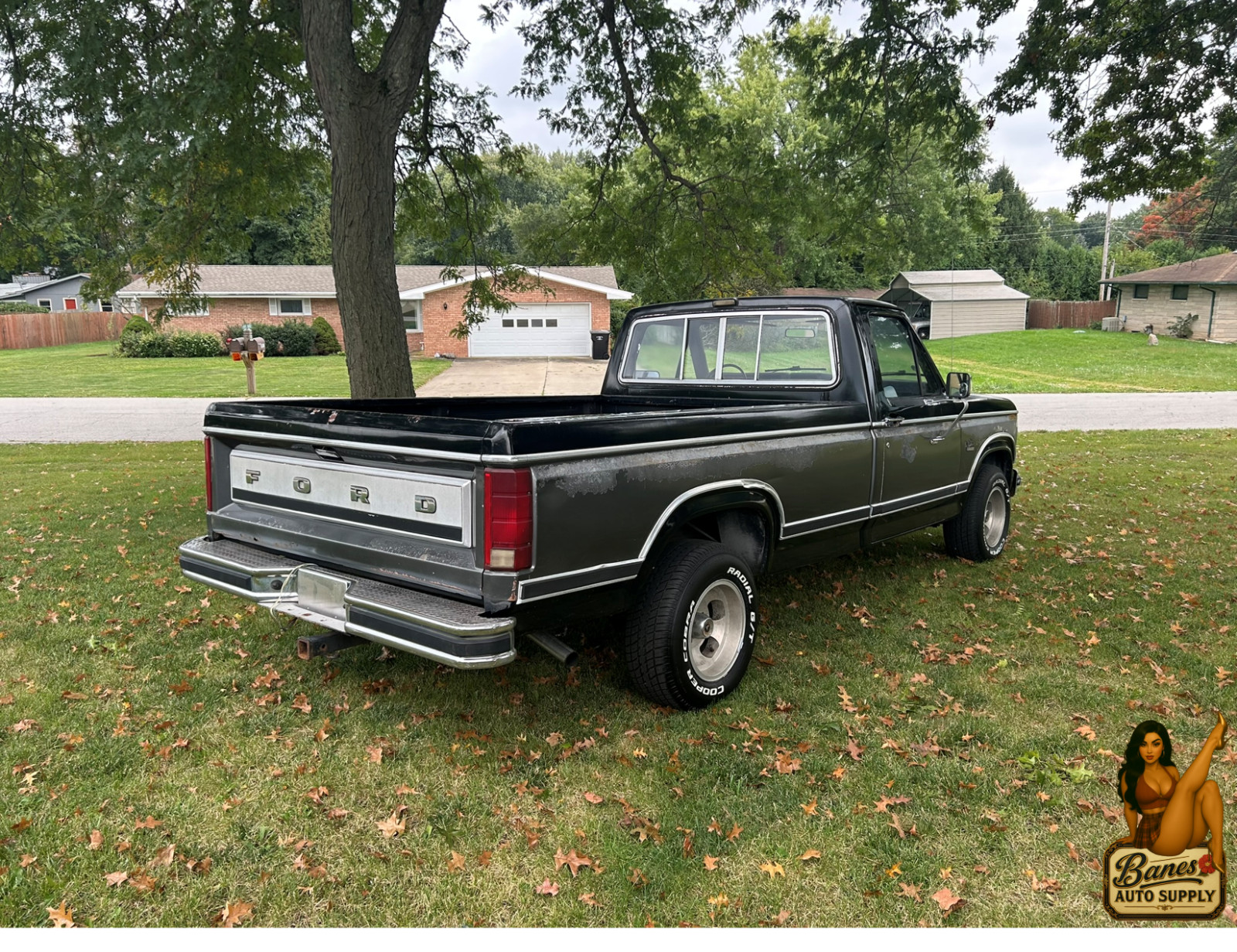 Ford-F-150-1984-Standard-Cab-Pickup-6