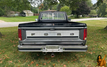 Ford-F-150-1984-Standard-Cab-Pickup-7
