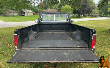 Ford-F-150-1984-Standard-Cab-Pickup-8