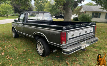 Ford-F-150-1984-Standard-Cab-Pickup-9
