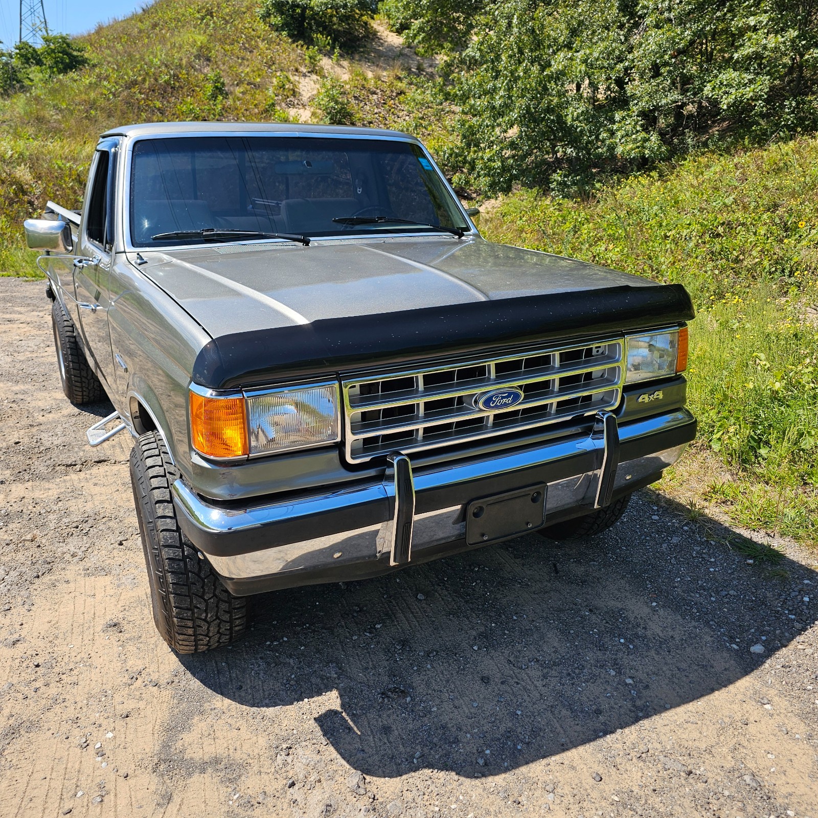 Ford F-150 1988 Standard Cab Pickup