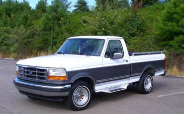Ford-F-150-1993-Other